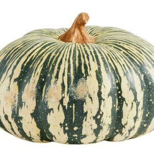 Pottery Barn Faux green and white pumpkin